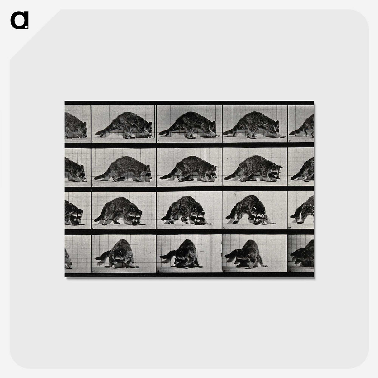 1-10_Eadweard-Muybridge_postcard