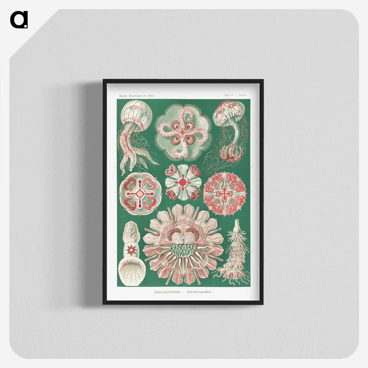 1-10_Ernst-Haeckel_blk-crop