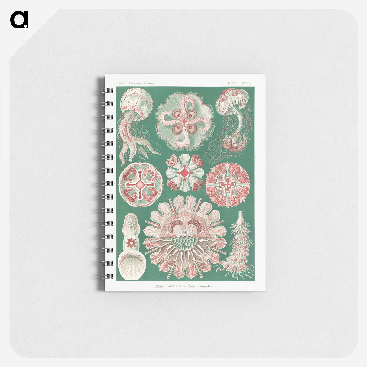 1-10_Ernst-Haeckel_memo