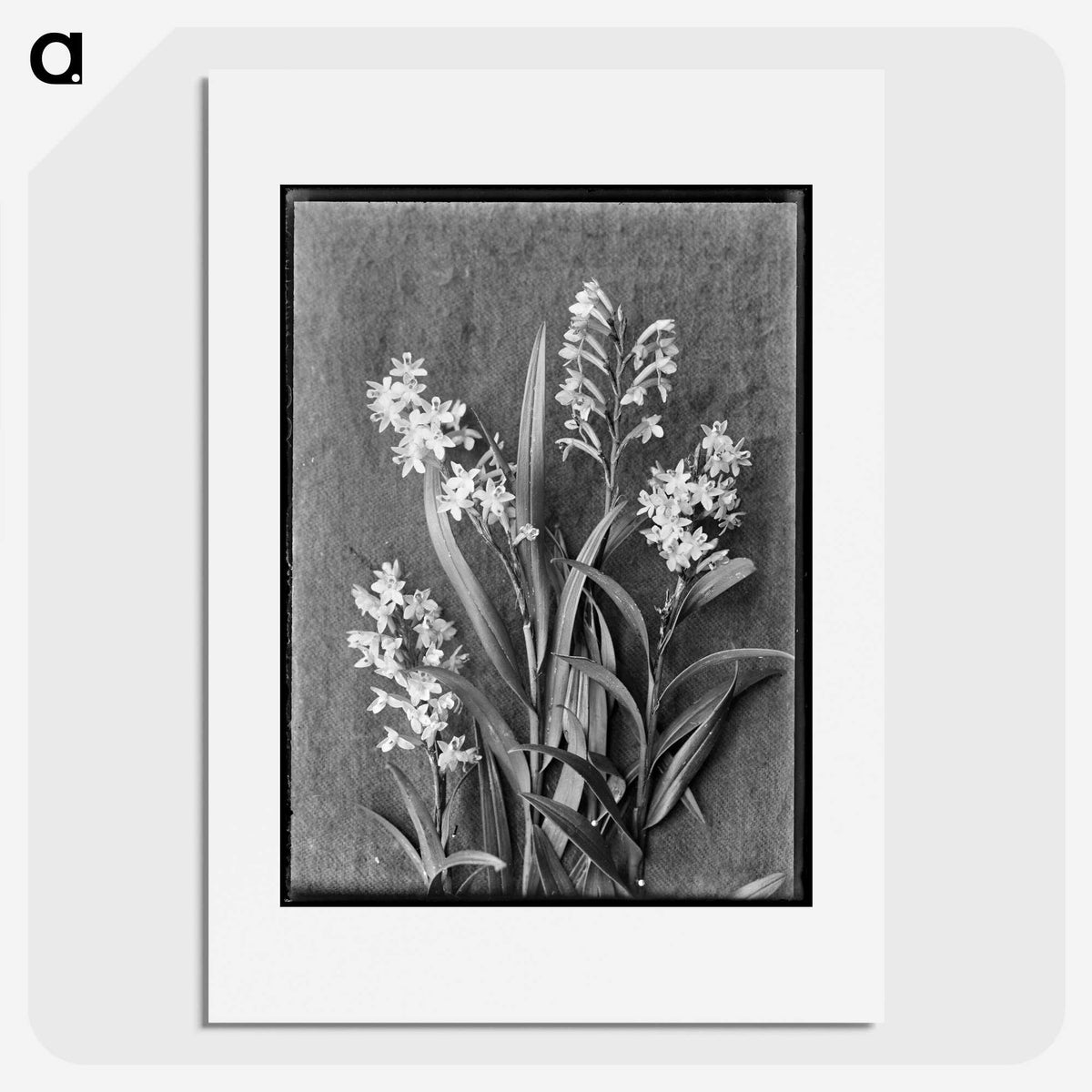 1-10_Frederick-Charles-Brockett_picture