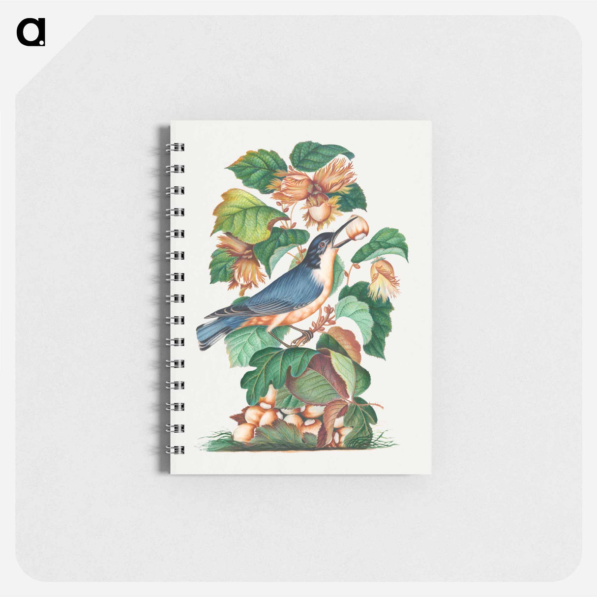 アートメモ帳-Beautiful Nuthatch
- ジェームズ ボルトン Memo.