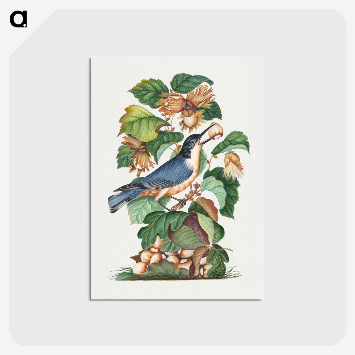 1-10_James-Bolton_postcard