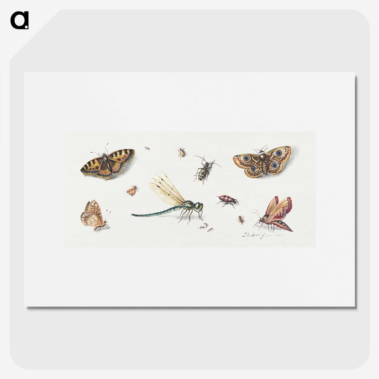 1-10_Jan-Van-Kessel_picture