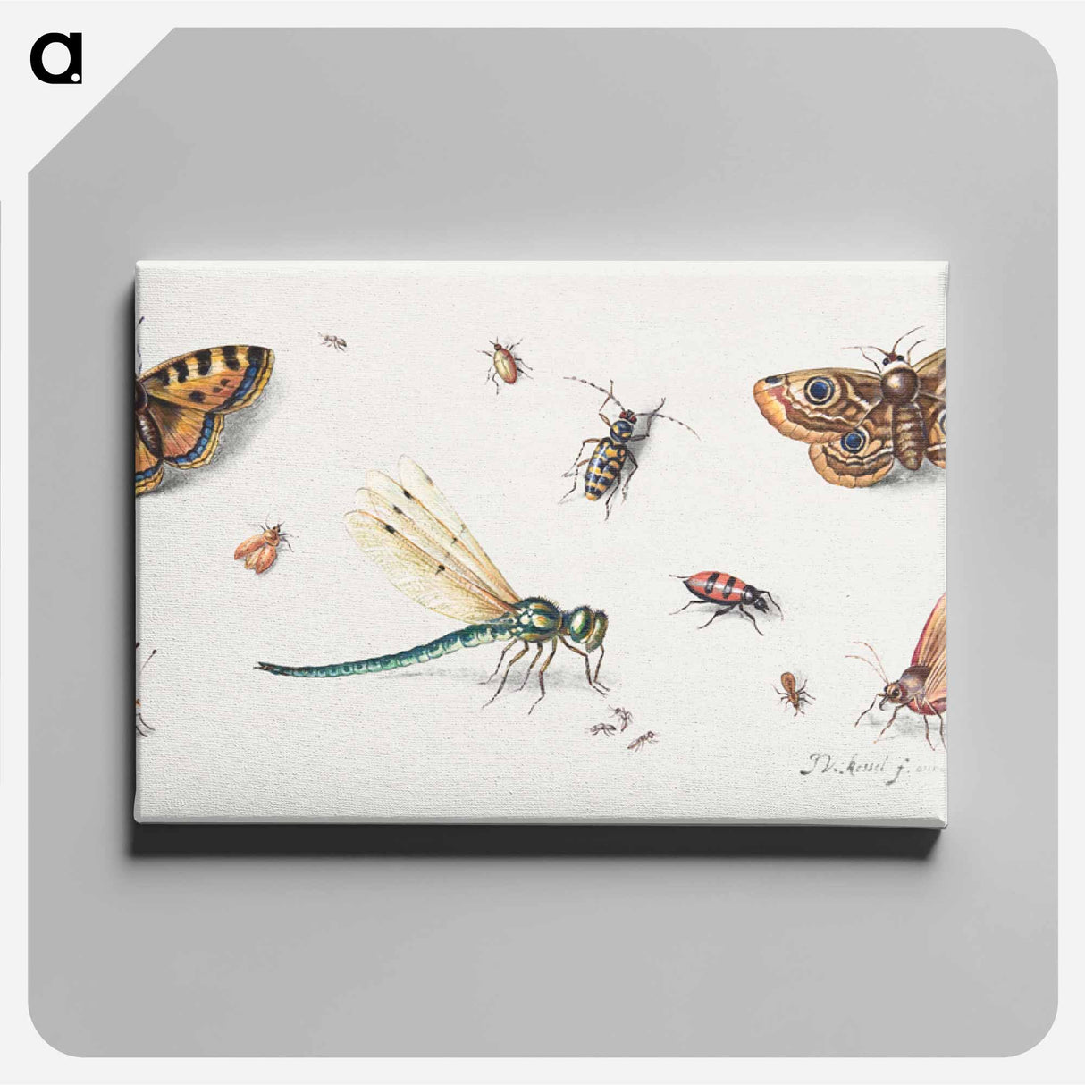 アートパネル-Insects and Butterflies
- ヤン ファン ケッセル Canvas.
