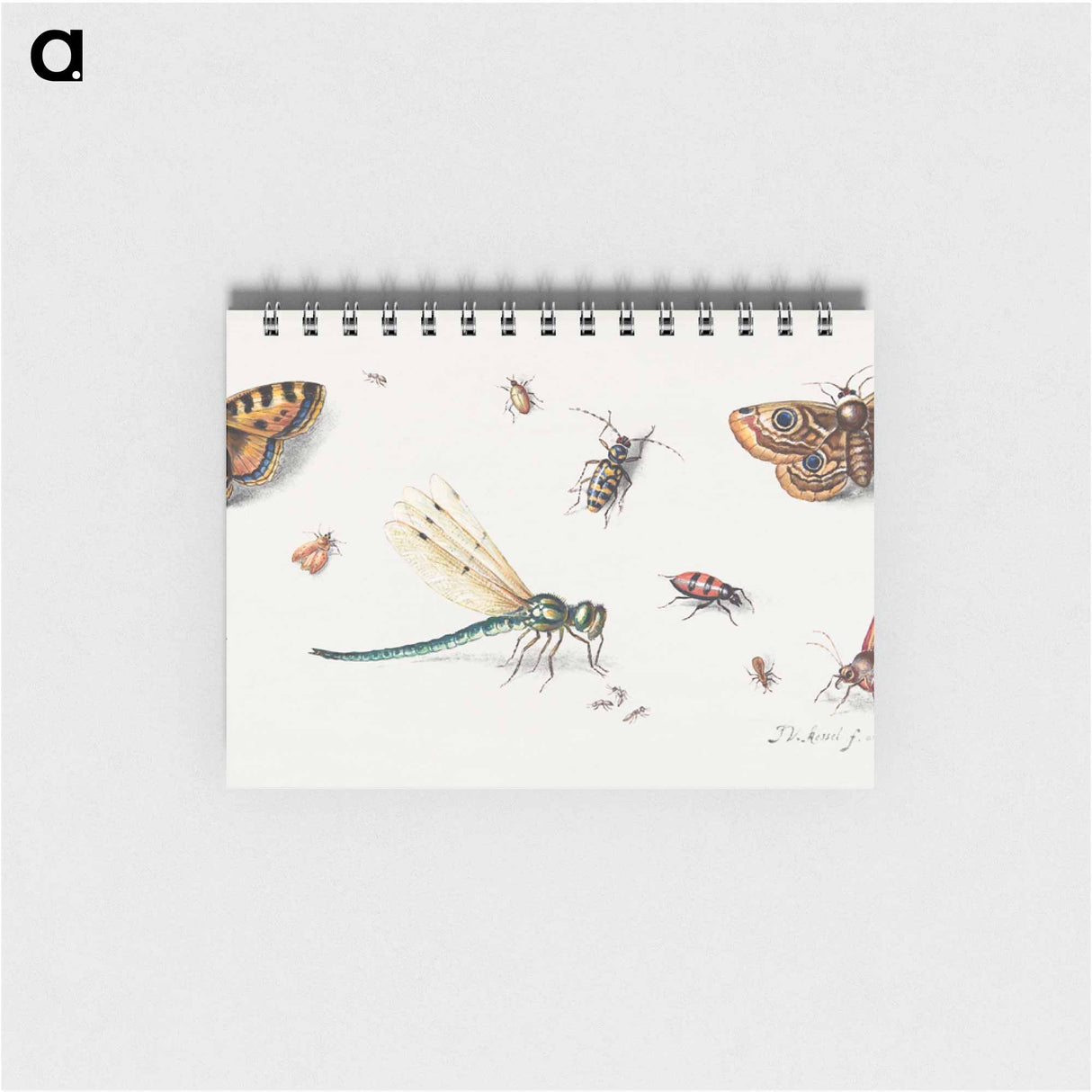 アートメモ帳-Insects and Butterflies
- ヤン ファン ケッセル Memo.