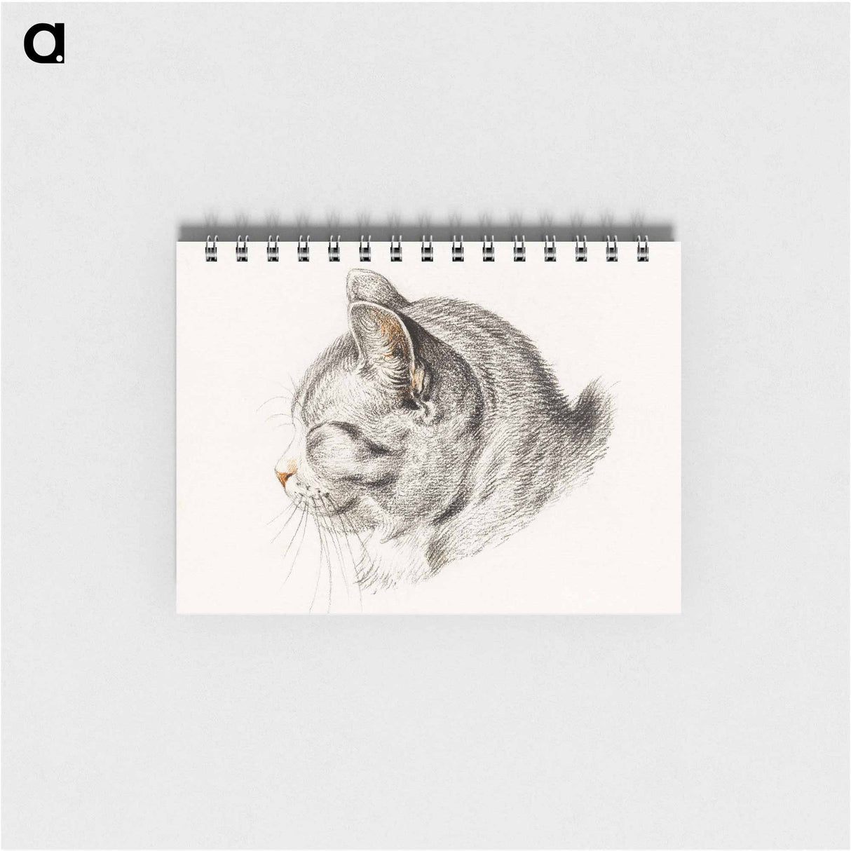 Sketch of a cat - ジャン ベルナール Memo.