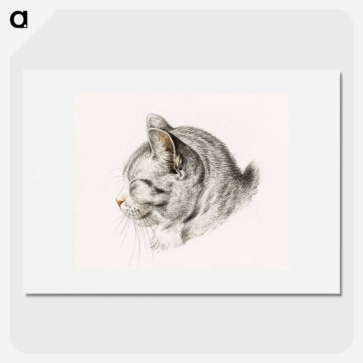 Sketch of a cat - Jean Bernard Poster.