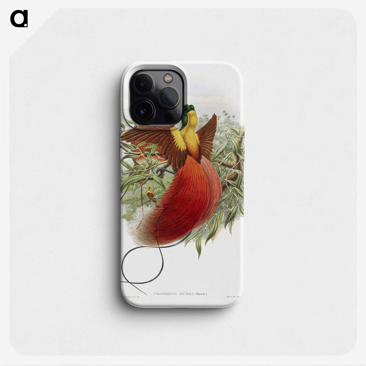 1-10_John-Gould_phone