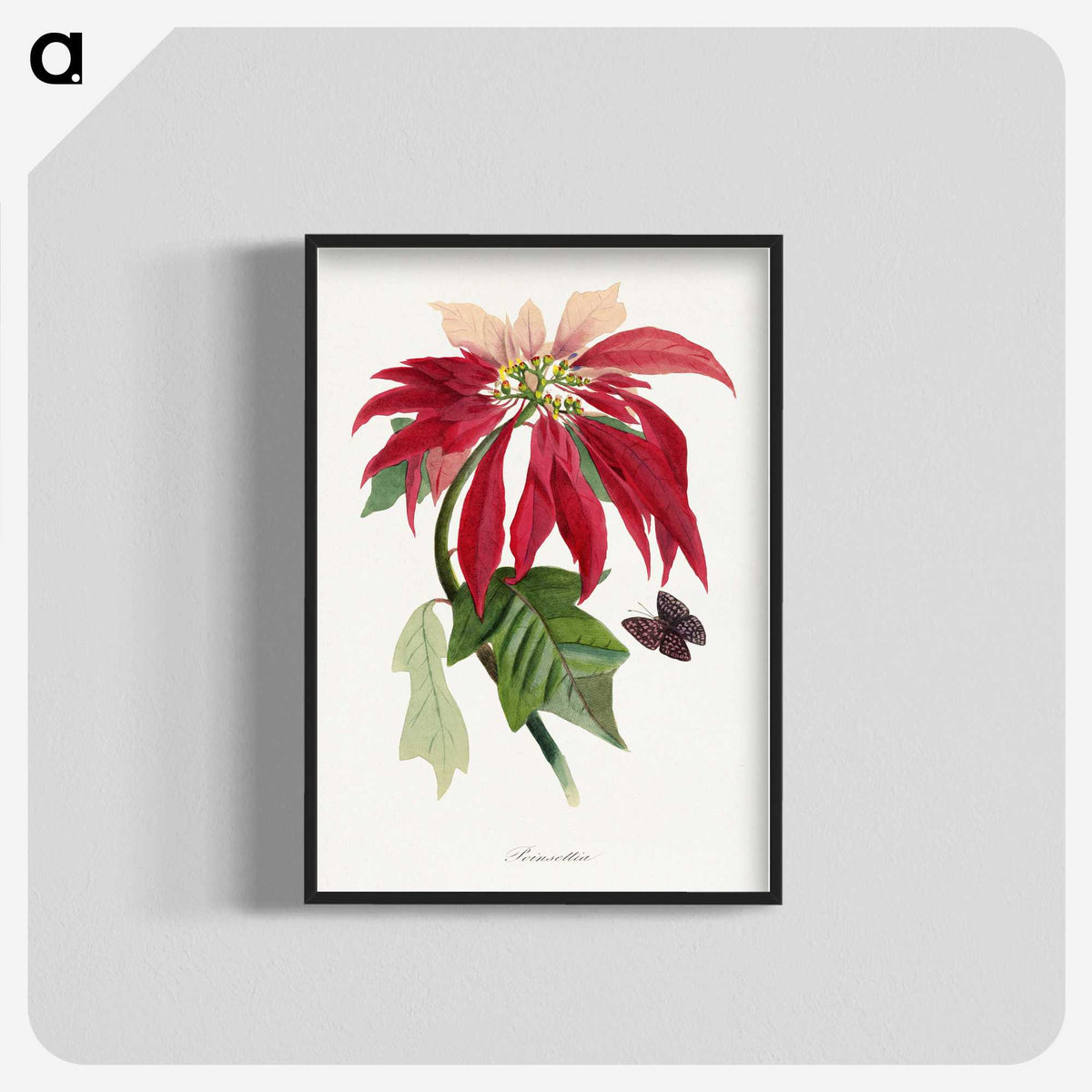 1-10_Le-Jardin-des-Plantes_blk-crop