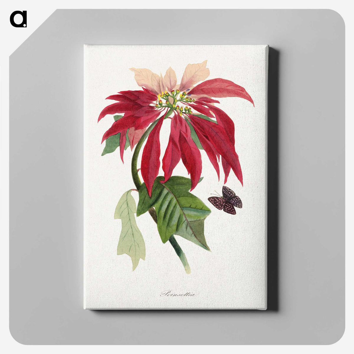 1-10_Le-Jardin-des-Plantes_canvas