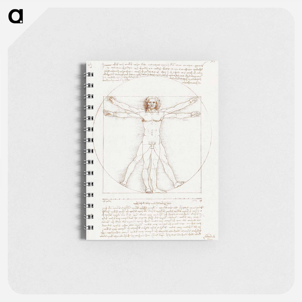Vitruvian Man - レオナルド ダ ヴィンチ Memo.