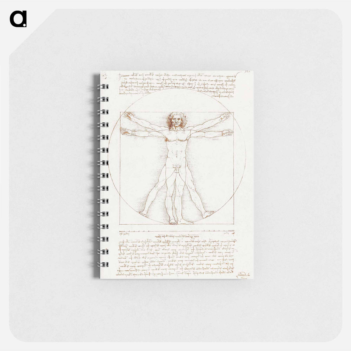 Vitruvian Man - レオナルド ダ ヴィンチ Memo.