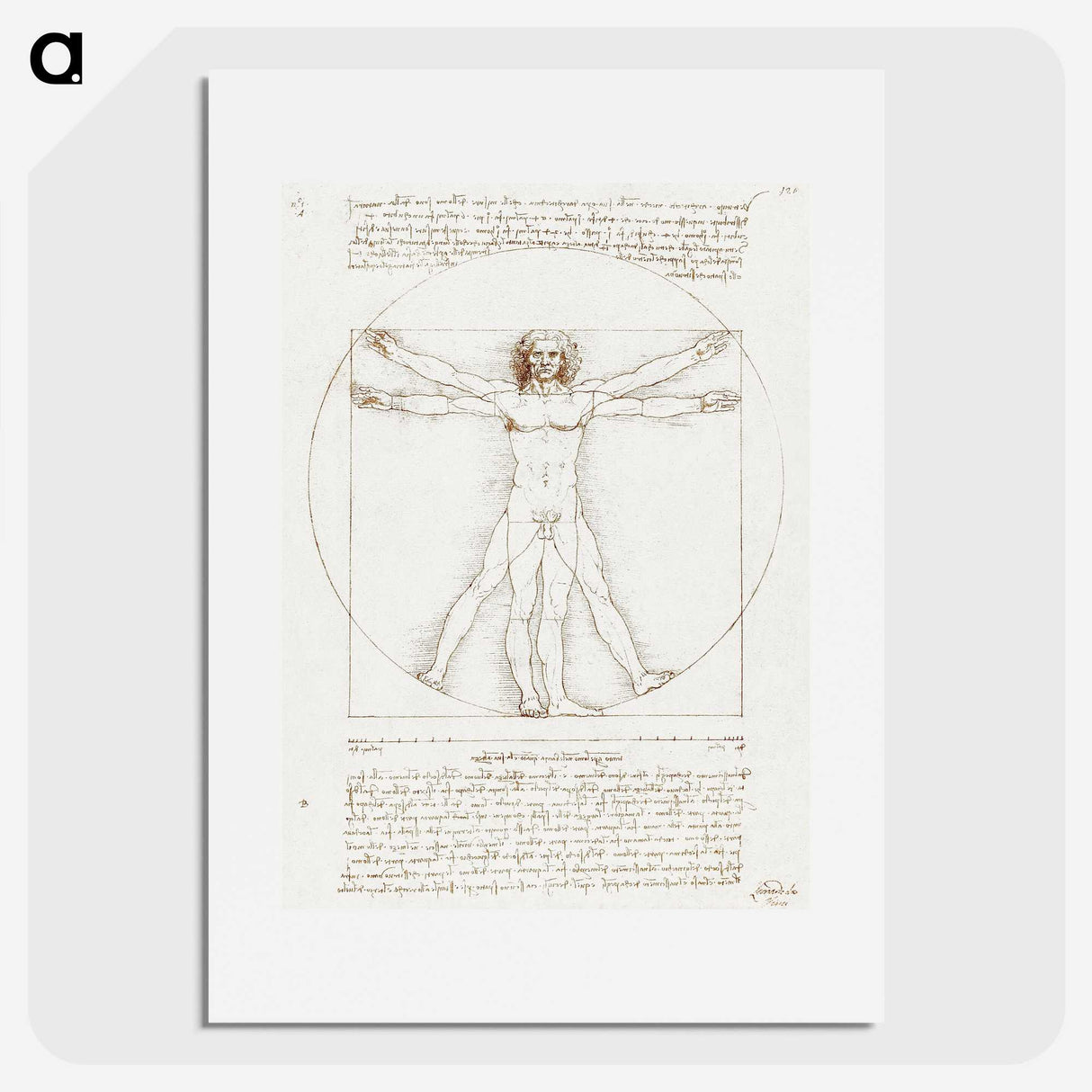 1-10_Leonardo-Da-Vinci_picture