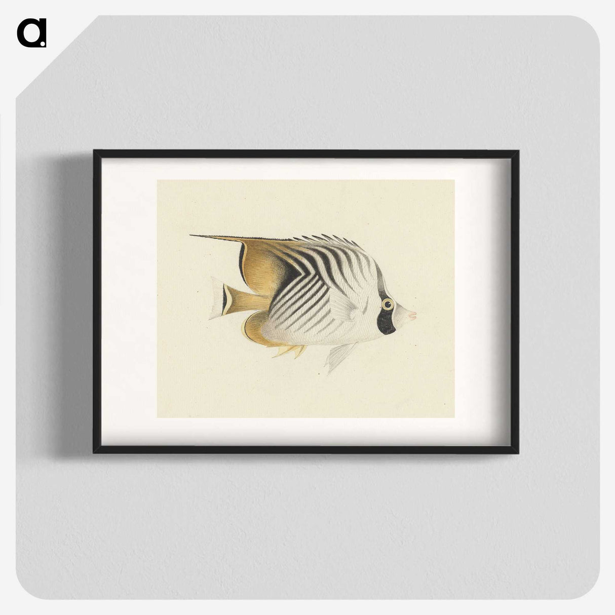 1-10_Luigi-Balugani_blk
