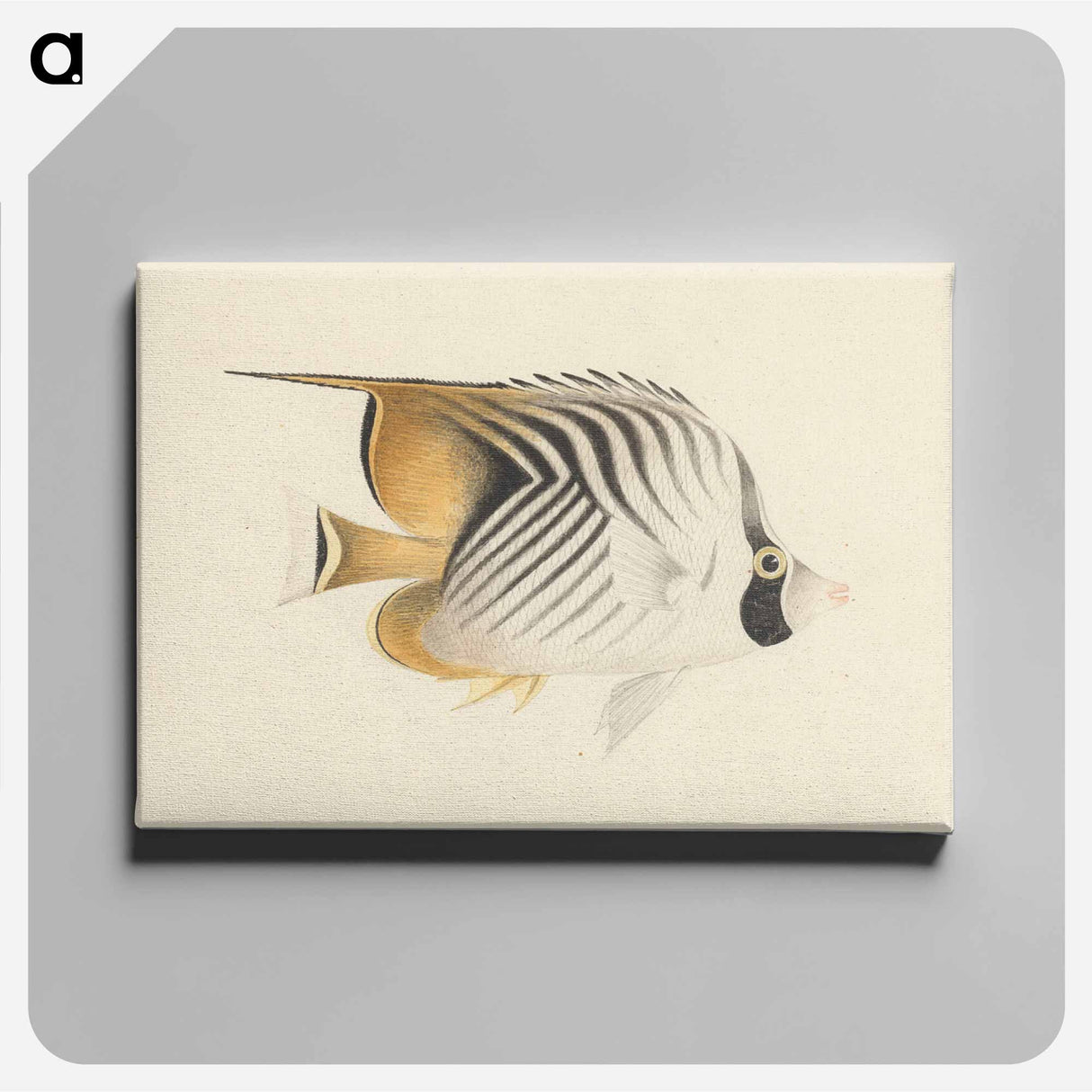 アートパネル-Unidentified Fish
- ルイージ バルガーニ Canvas.