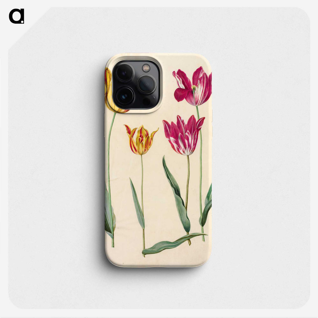 1-10_Maria-Sibylla-Merian_phone