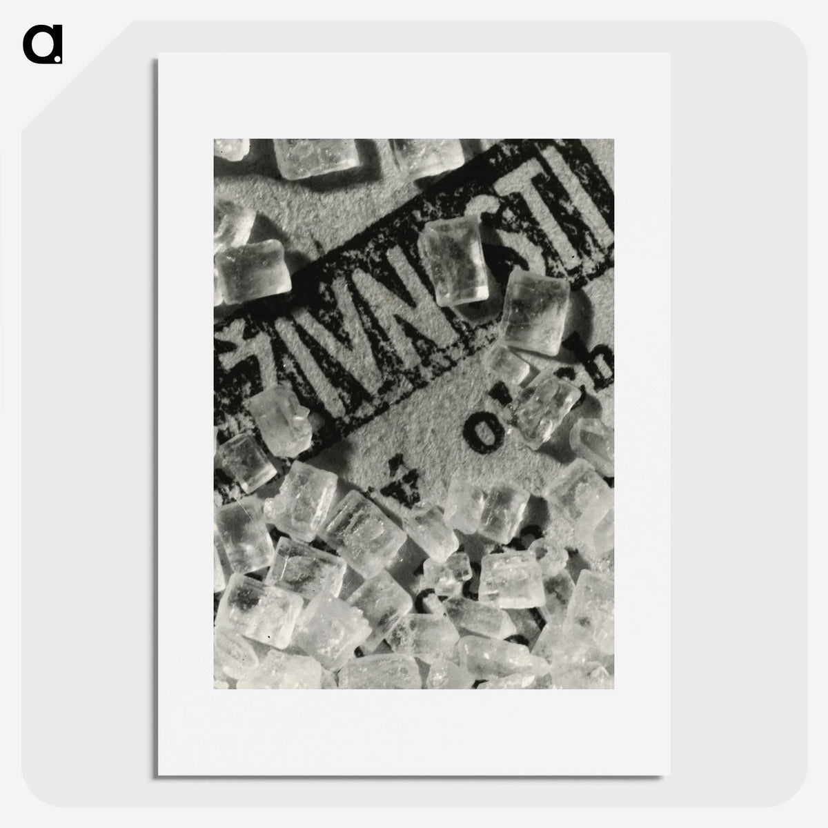 1-10_Milos-Dohnany_picture