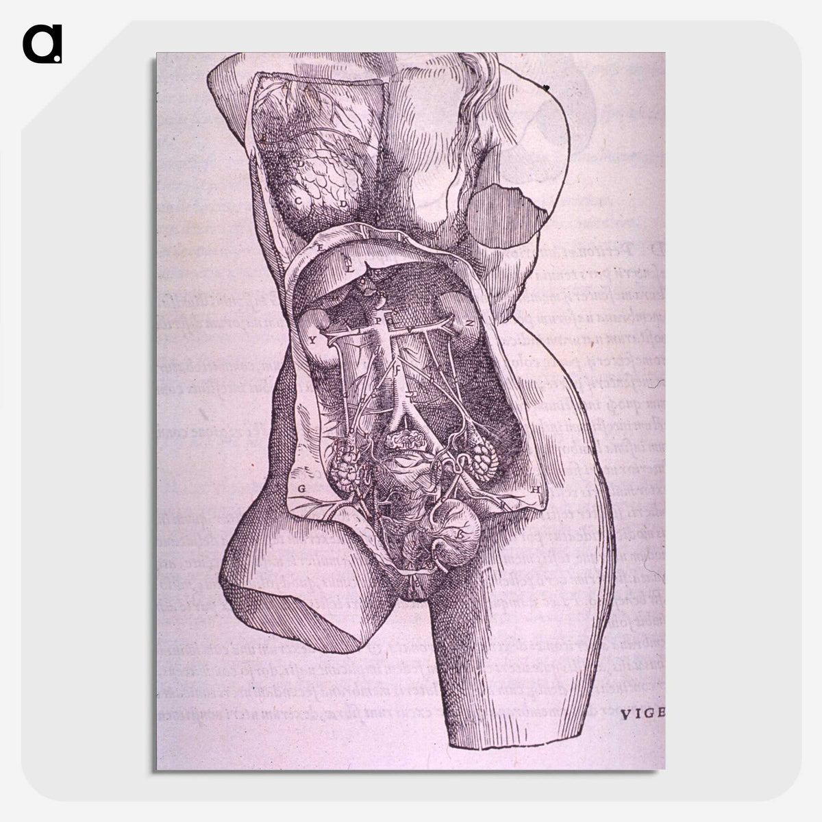 1-10_National-Library-of-Medicine_picture-crop