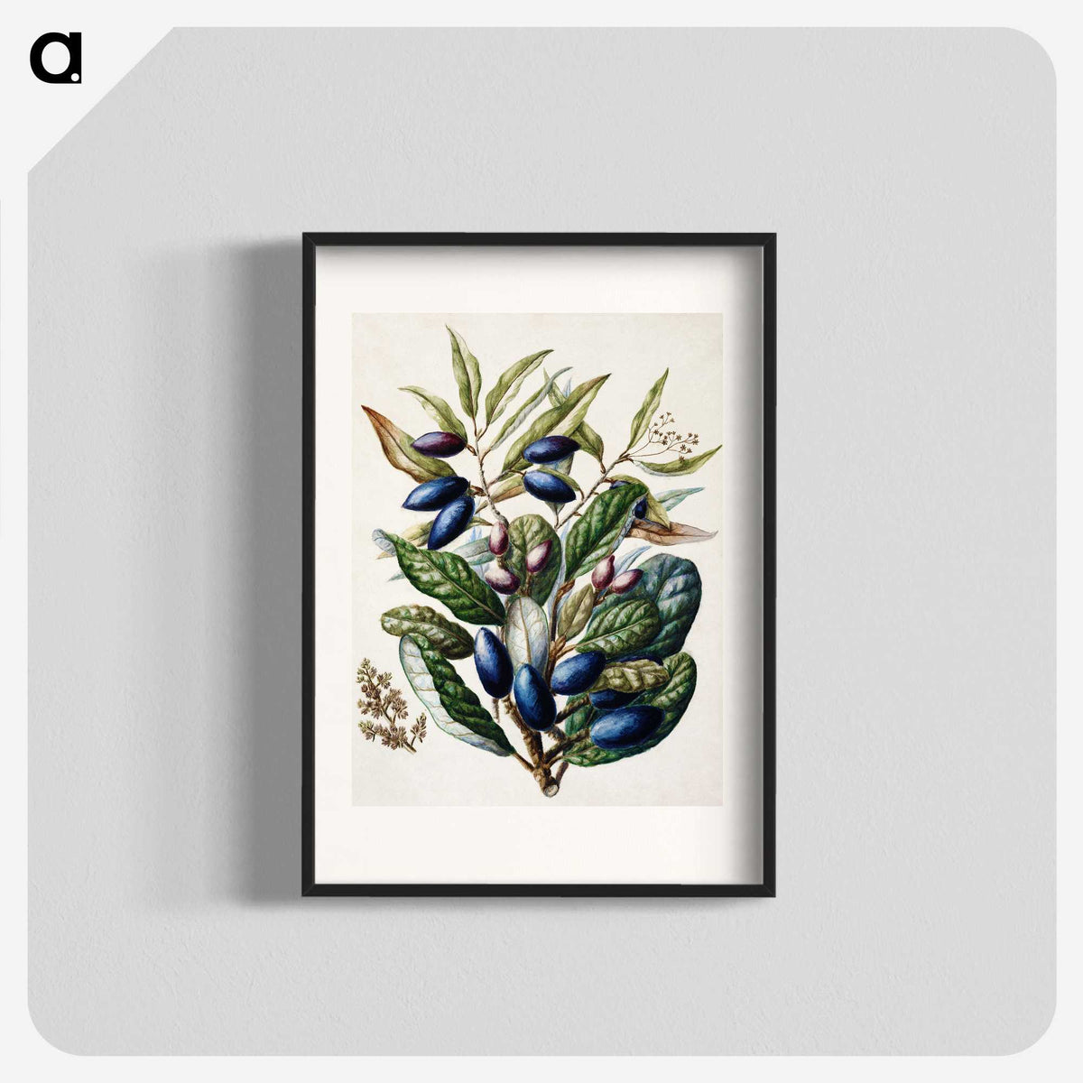 1-10_Native-Flowering-Plants-of-New-Zealand_blk