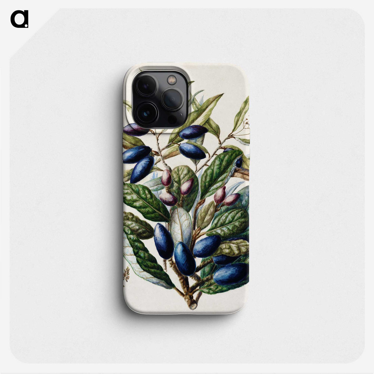 1-10_Native-Flowering-Plants-of-New-Zealand_phone