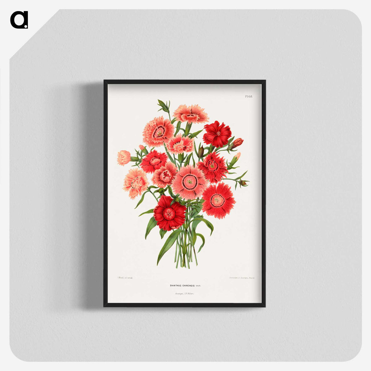 1-10_Nederlandsche-Flora-en-Pomona_blk-crop
