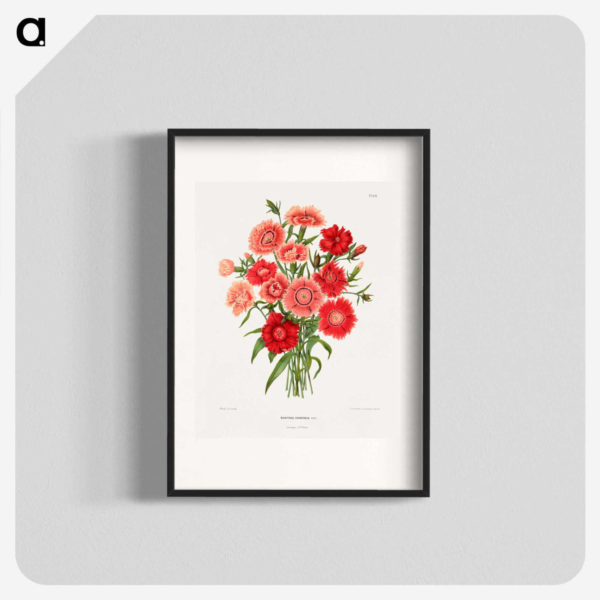 1-10_Nederlandsche-Flora-en-Pomona_blk