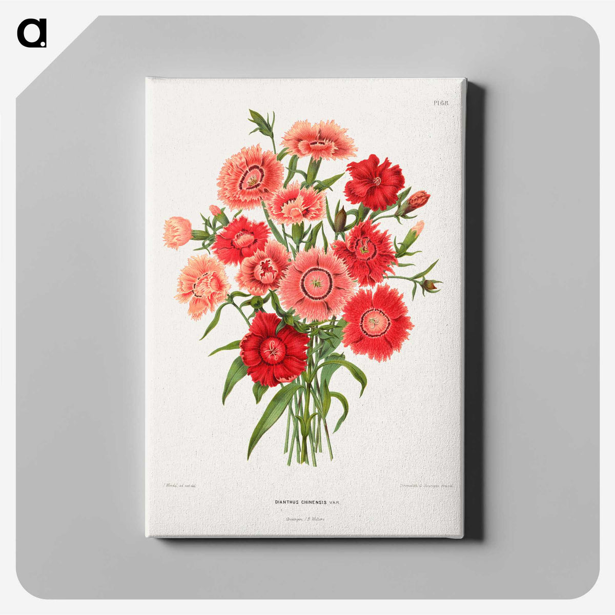 1-10_Nederlandsche-Flora-en-Pomona_canvas