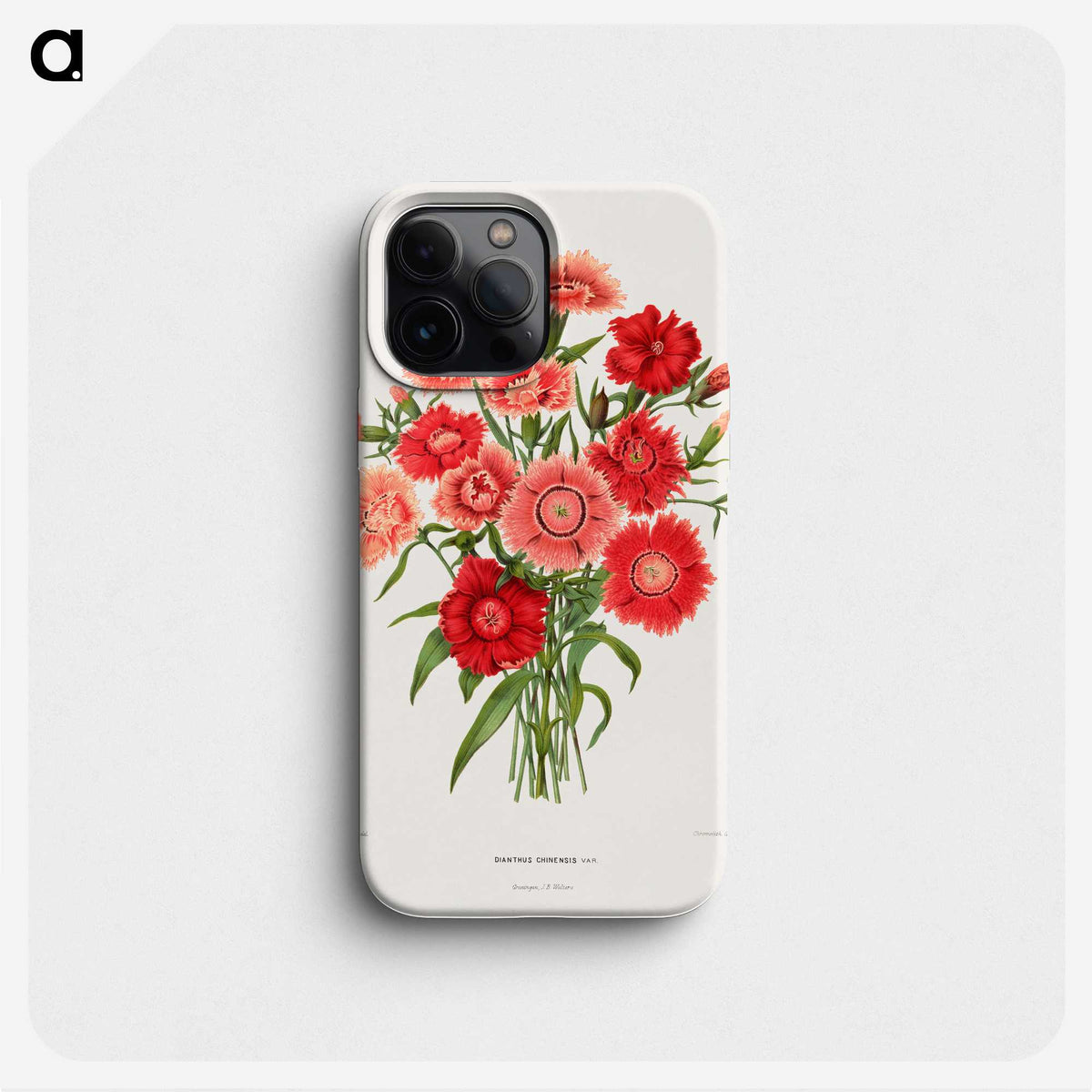 1-10_Nederlandsche-Flora-en-Pomona_phone