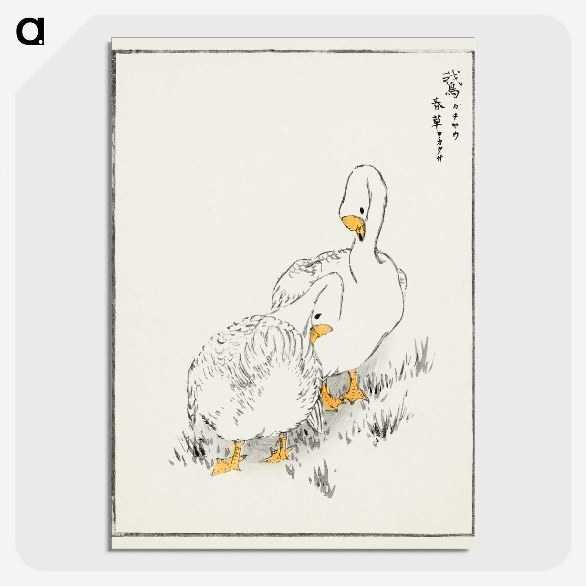 1-10_Pictorial-Monograph-of-Birds_picture-crop