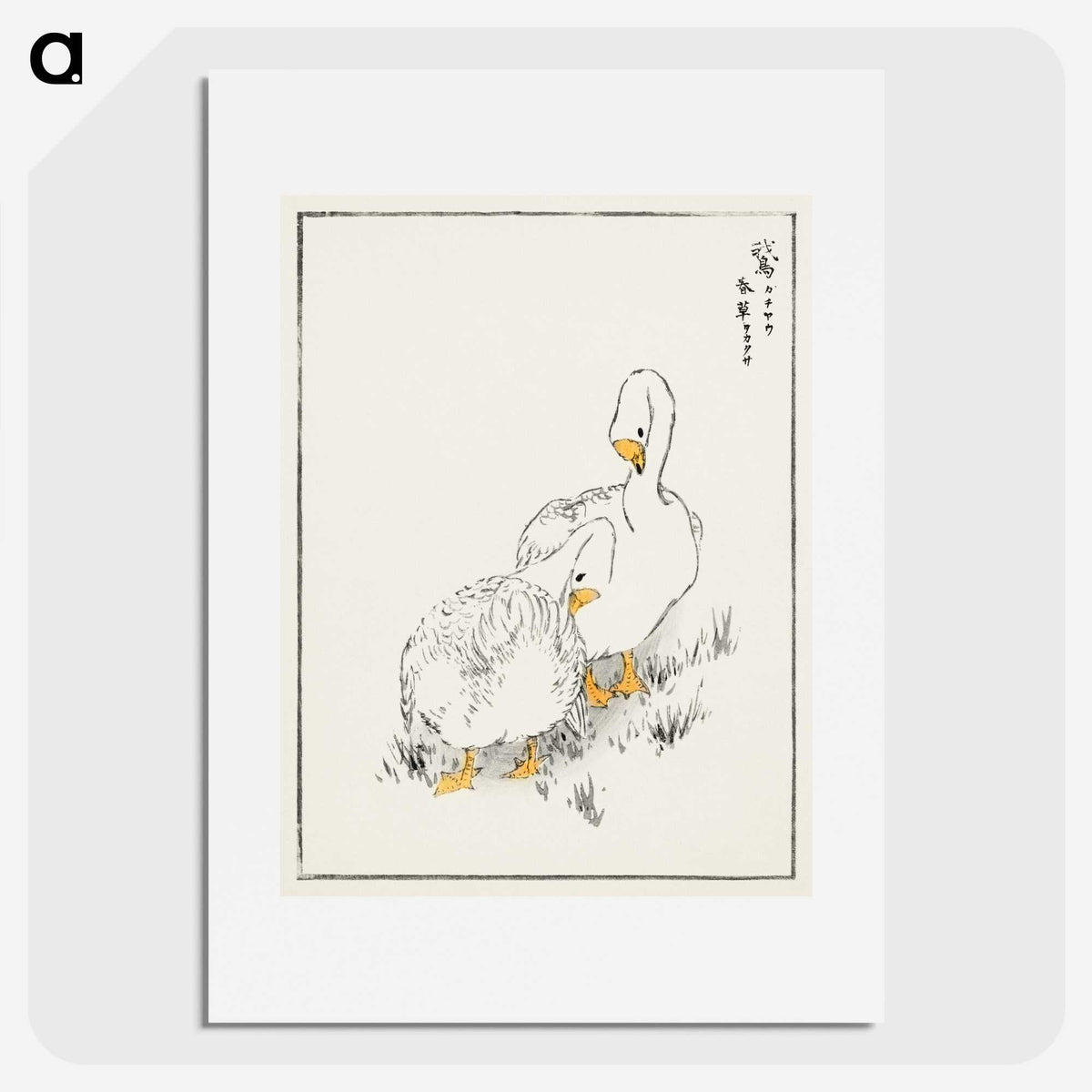 1-10_Pictorial-Monograph-of-Birds_picture