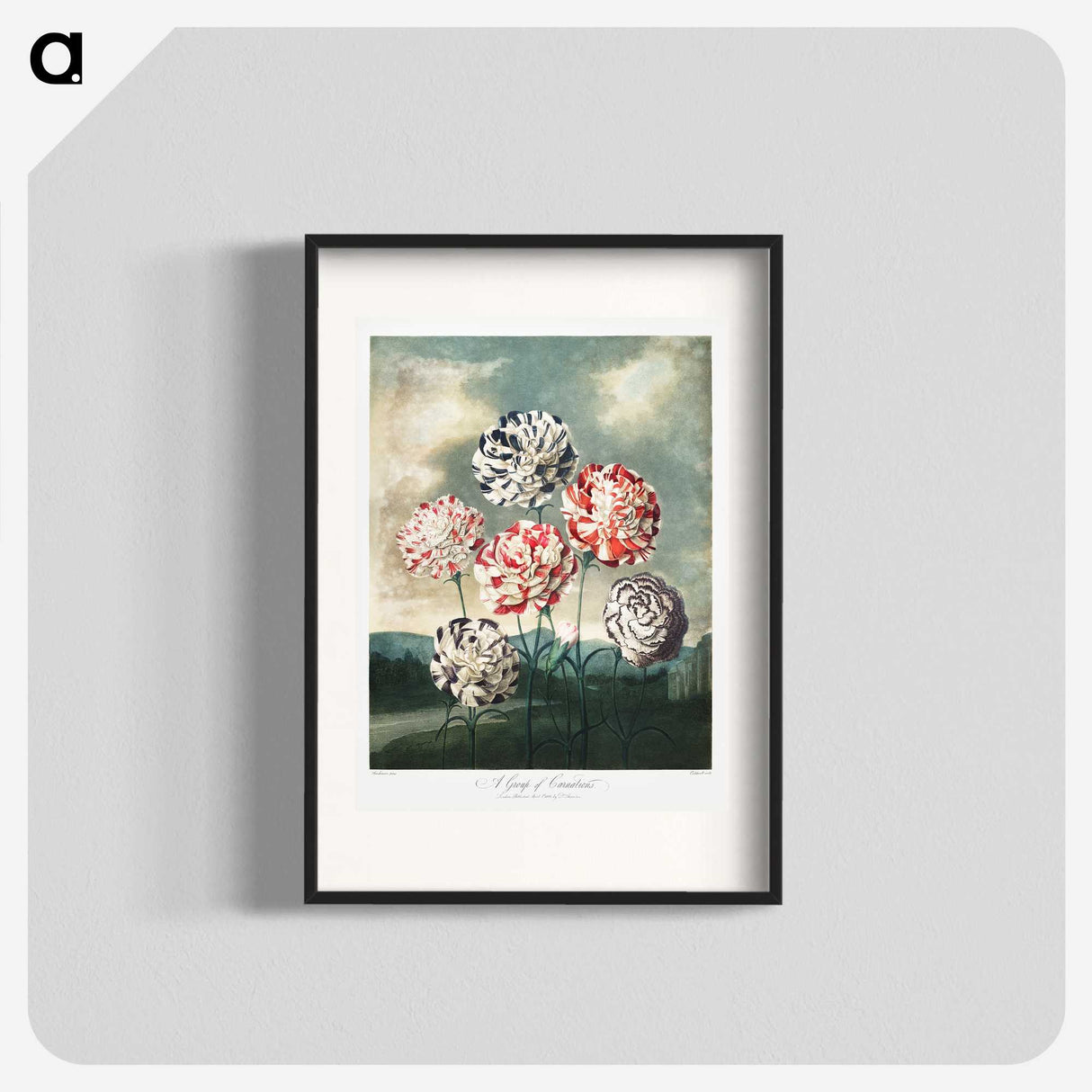 1-10_Robert-John-Thornton_blk
