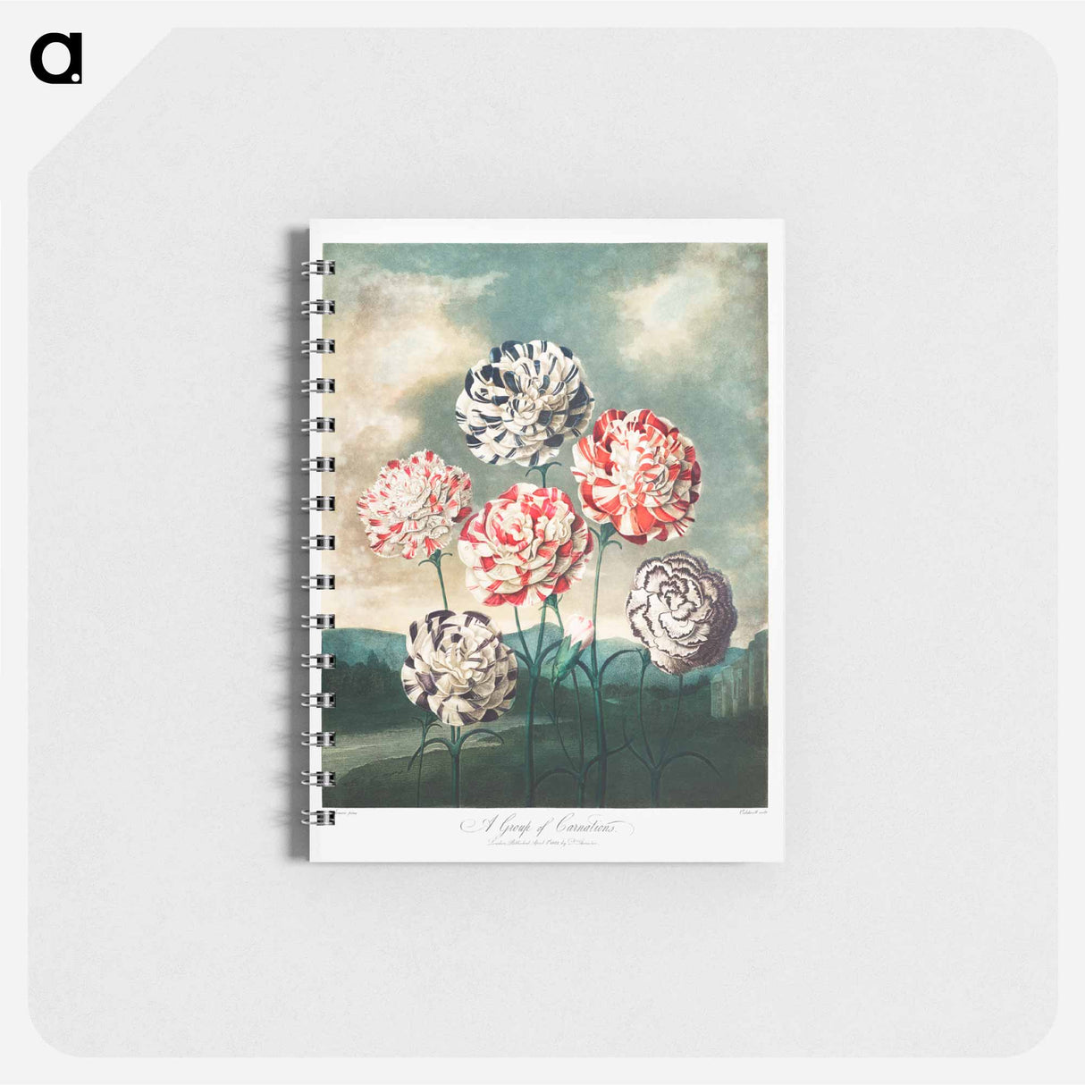 アートメモ帳-Carnations from The Temple of Flora
- ロバート ジョン ソーントン Memo.