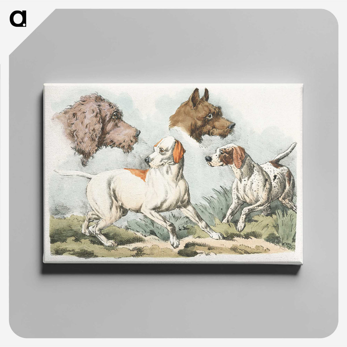 1-10_Sporting-Sketches_canvas