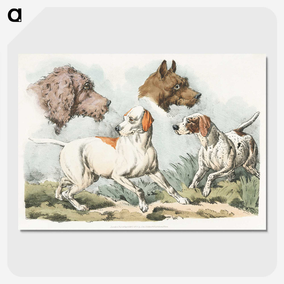 1-10_Sporting-Sketches_picture-crop