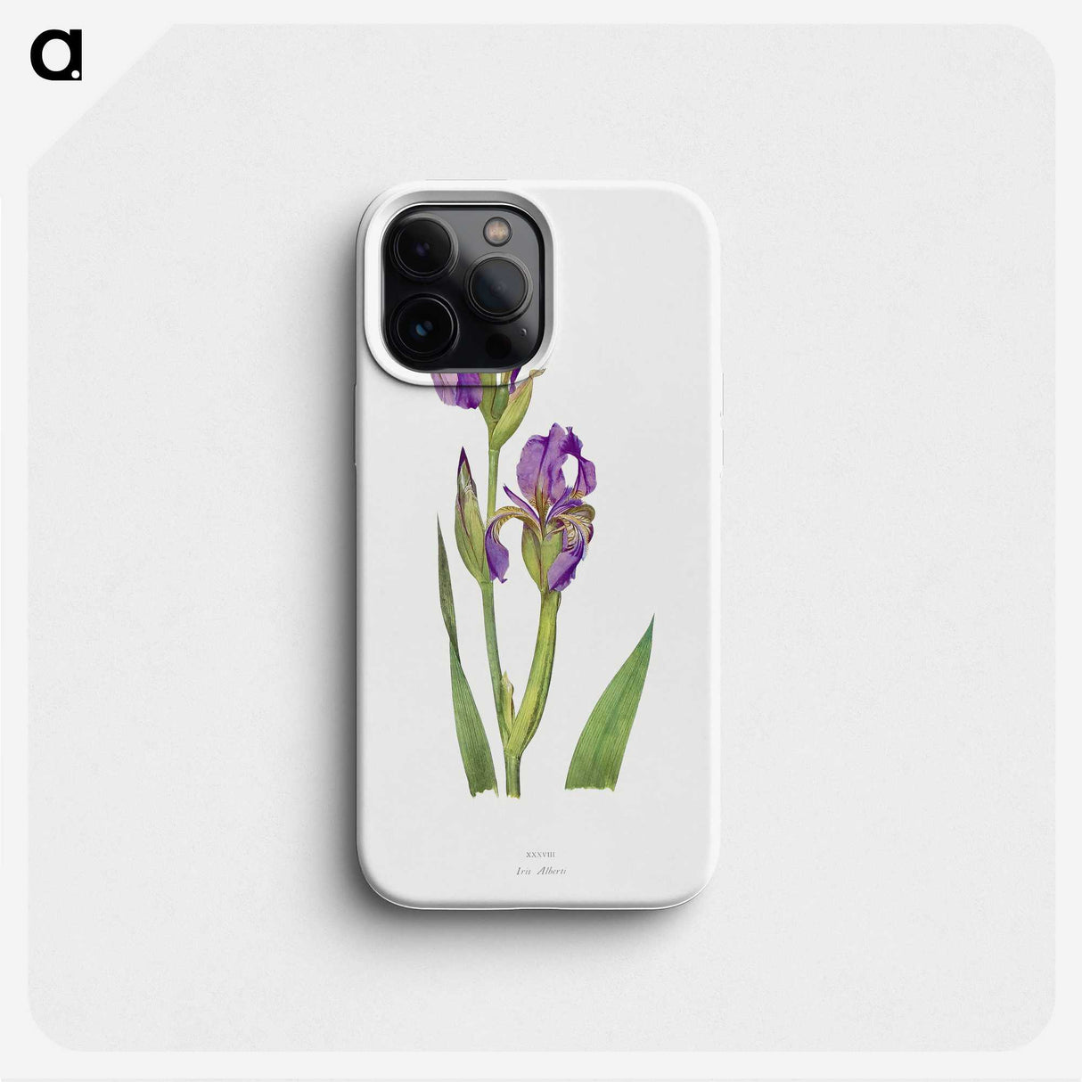 1-10_The-Genus-Iris_phone