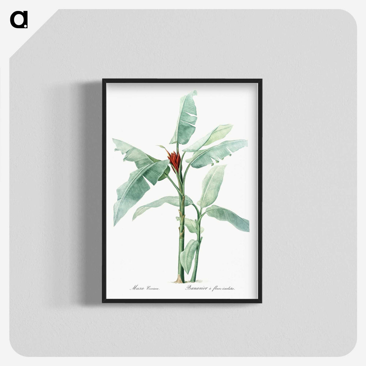 1-10_The-Lilies_blk-crop