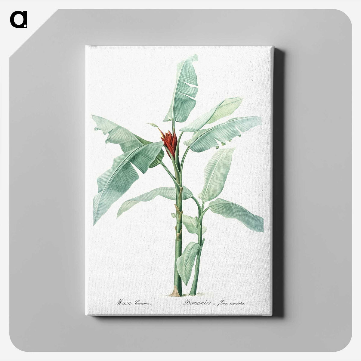 1-10_The-Lilies_canvas