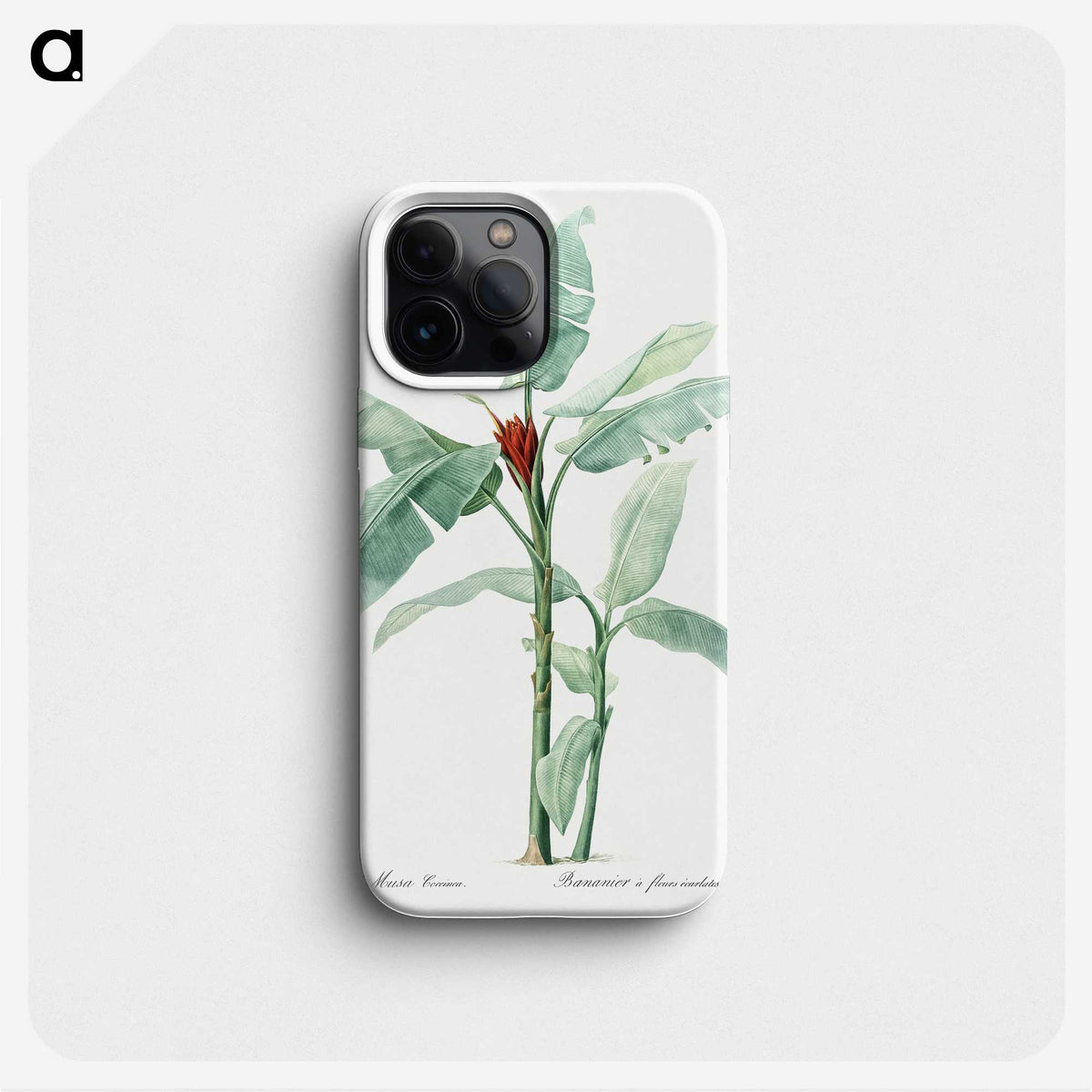 1-10_The-Lilies_phone