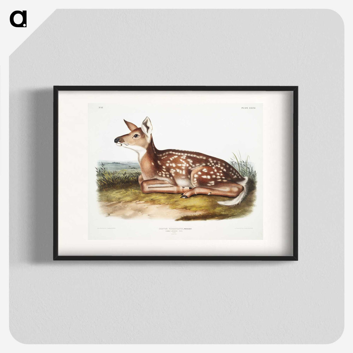1-10_The-Viviparous-Quadrupeds_blk
