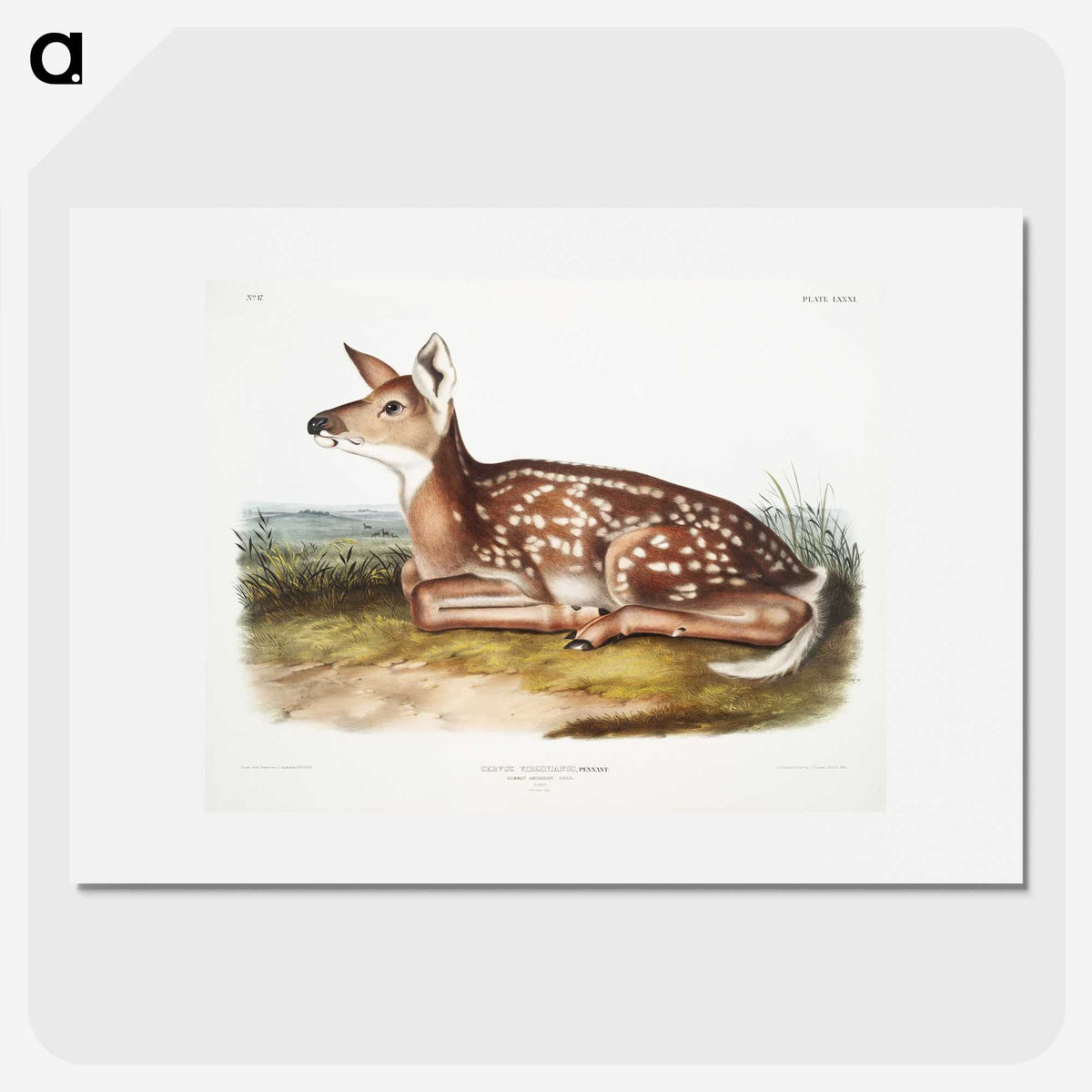 1-10_The-Viviparous-Quadrupeds_picture