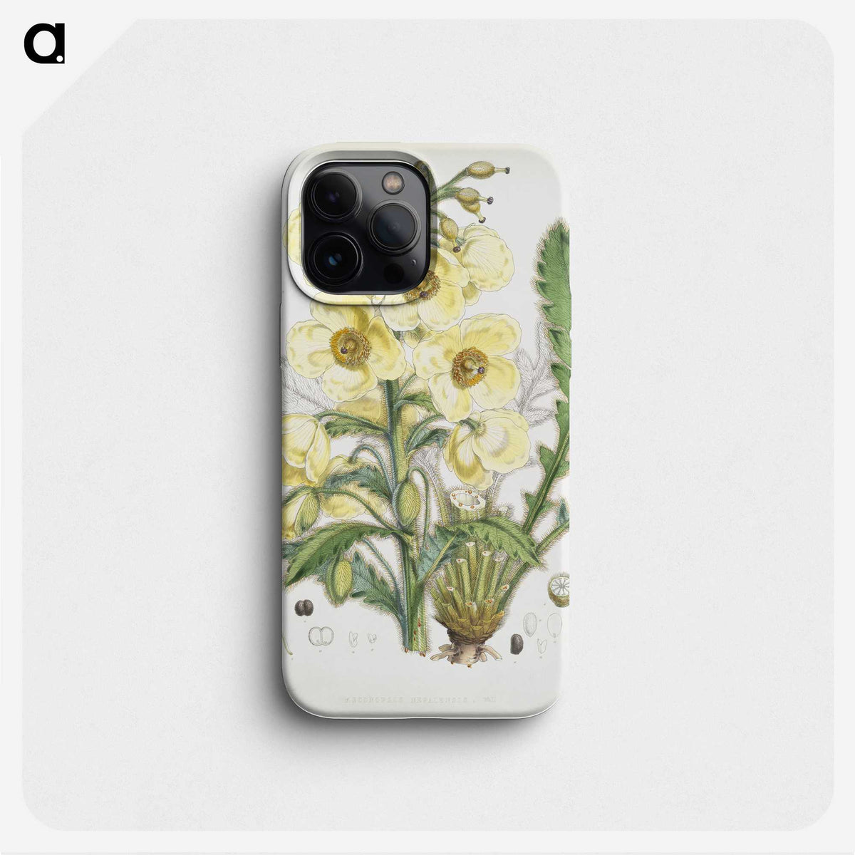 1-10_Walter-Hood-Fitch_phone