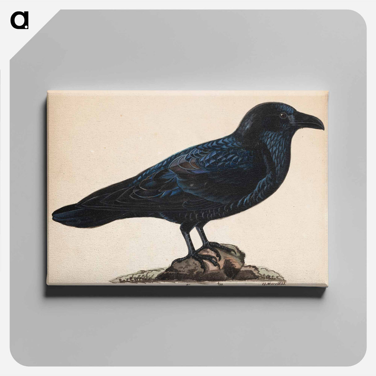 Raven - ヴィルヘルム フォン ライト Canvas.