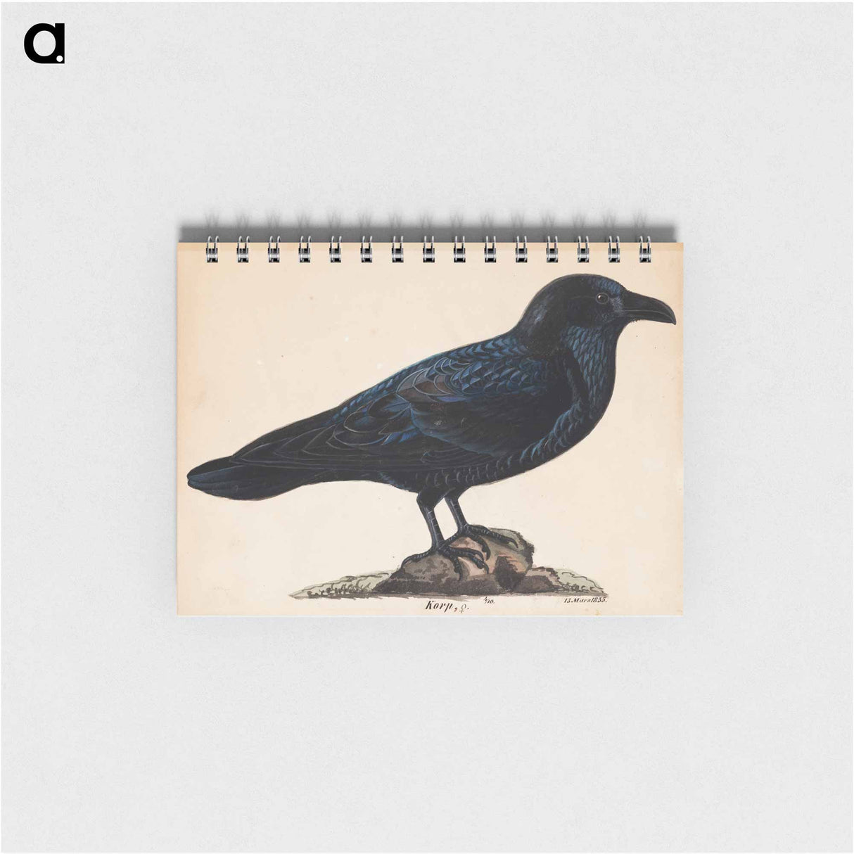 Raven - ヴィルヘルム フォン ライト Memo.