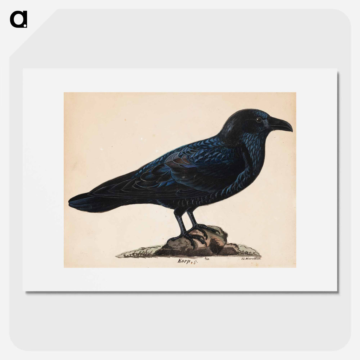 Raven - Wilhelm von Wright Poster.