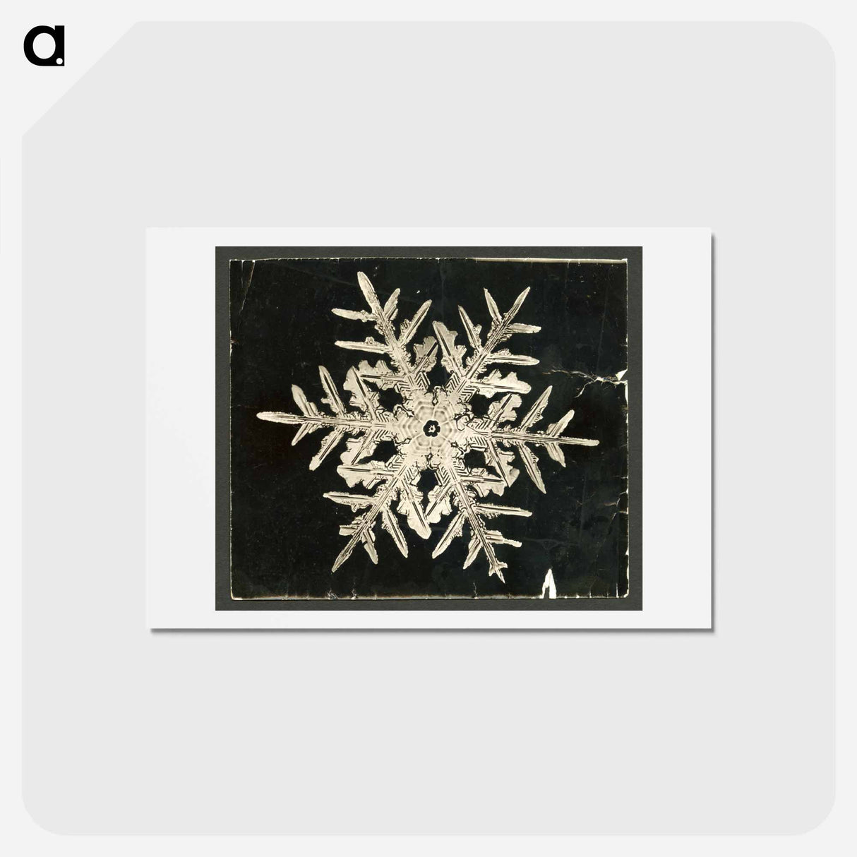 アートポストカード-Wilson Bentley's Snowflake 332 - ウィルソン ベントレー Postcard.