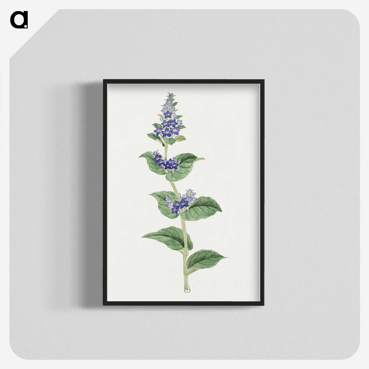 1-11_19th-Century-Japanese-Flowers_blk-crop