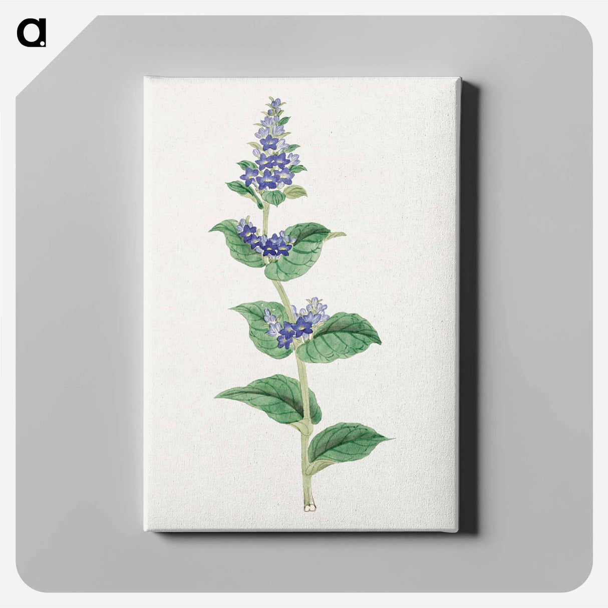 Utsugo Gusa - 19世紀の日本の花 Canvas.