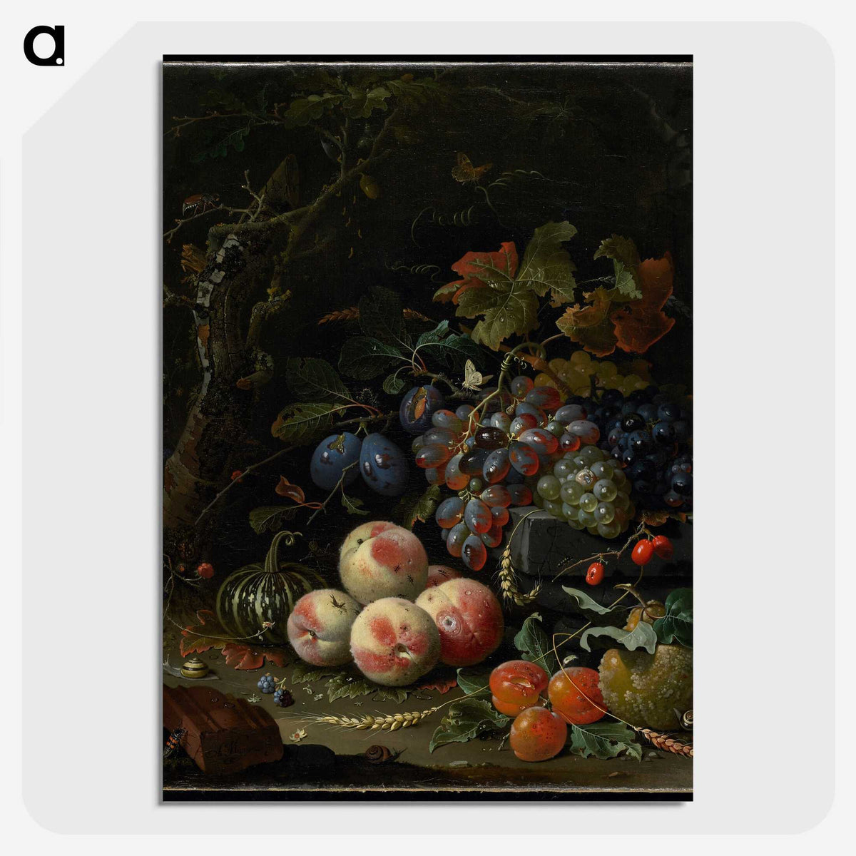 1-11_Abraham-Mignon_picture-crop