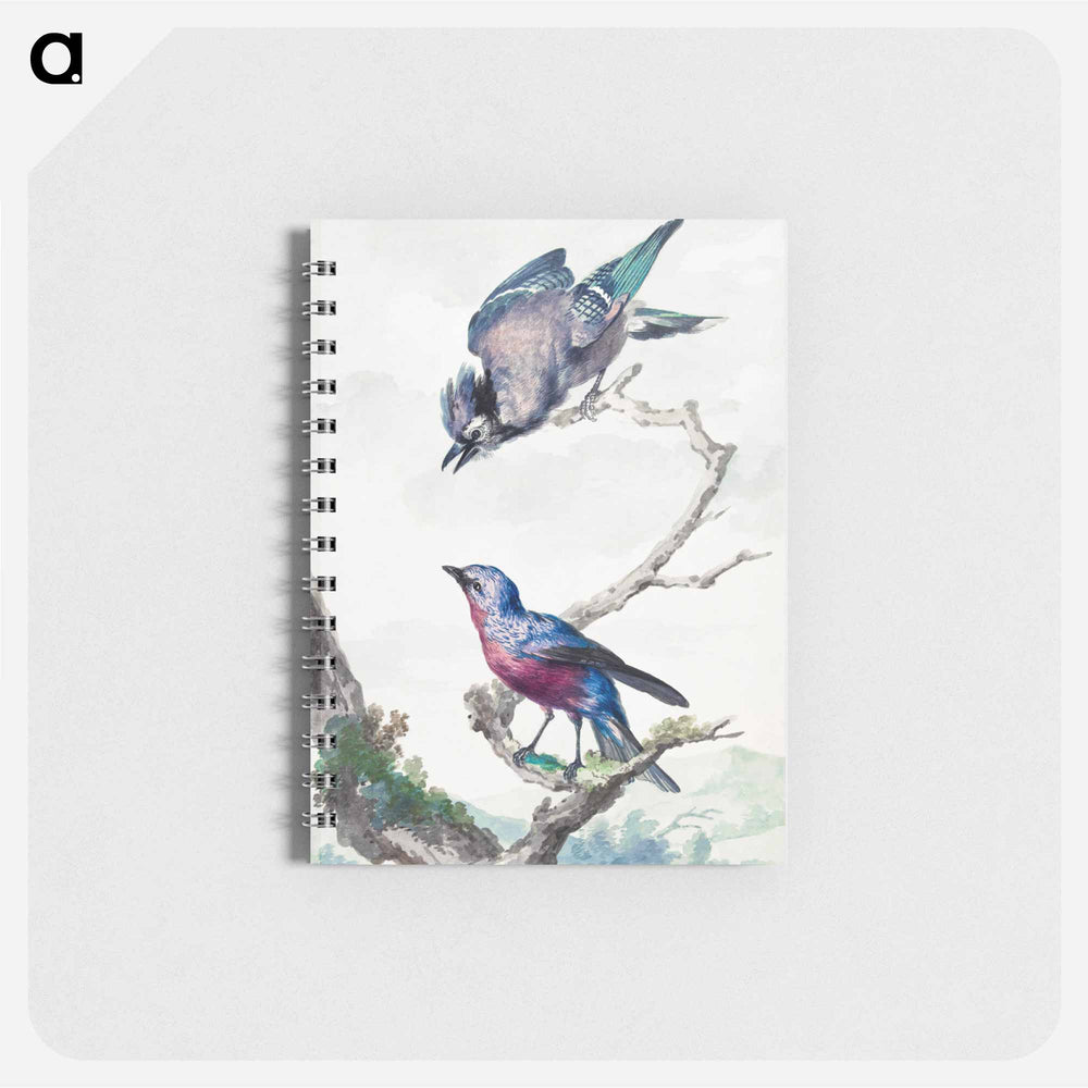 Two birds: a blue jay and a purple-breasted cotinga - アールト シューマン Memo.