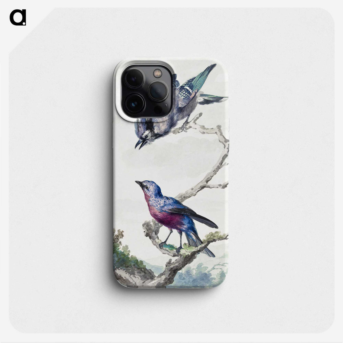 1-11_Aert-Schouman_phone